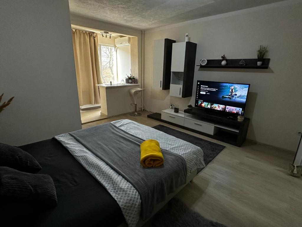 Reeas Apartament Timişoara Eksteriør bilde