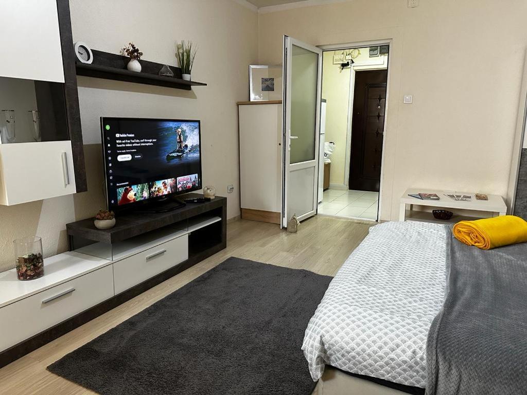 Reeas Apartament Timişoara Eksteriør bilde
